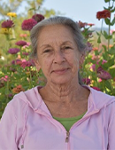 Cindy Stapp